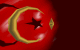 bayrak.gif (60647 bytes)